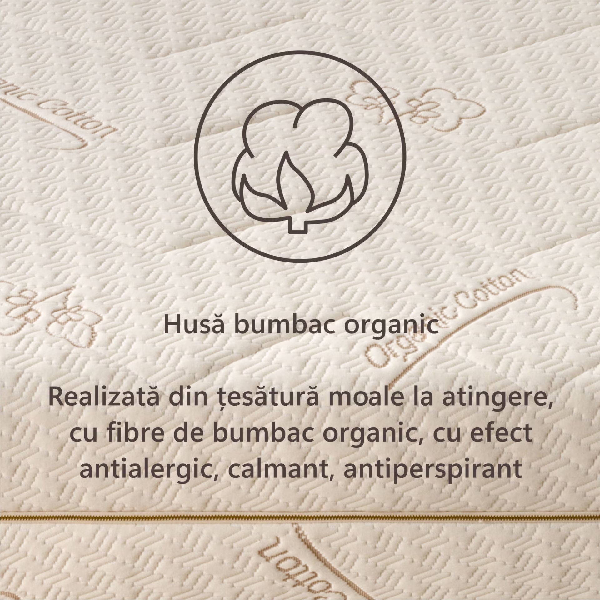 Saltea Ortopedica Sleep Evolution Bio Bumbac Cocos 15+2+6, 23cm, spuma poliuretanica cu memorie si fibre de cocos, husa detasabila cu bumbac, fermitate moale