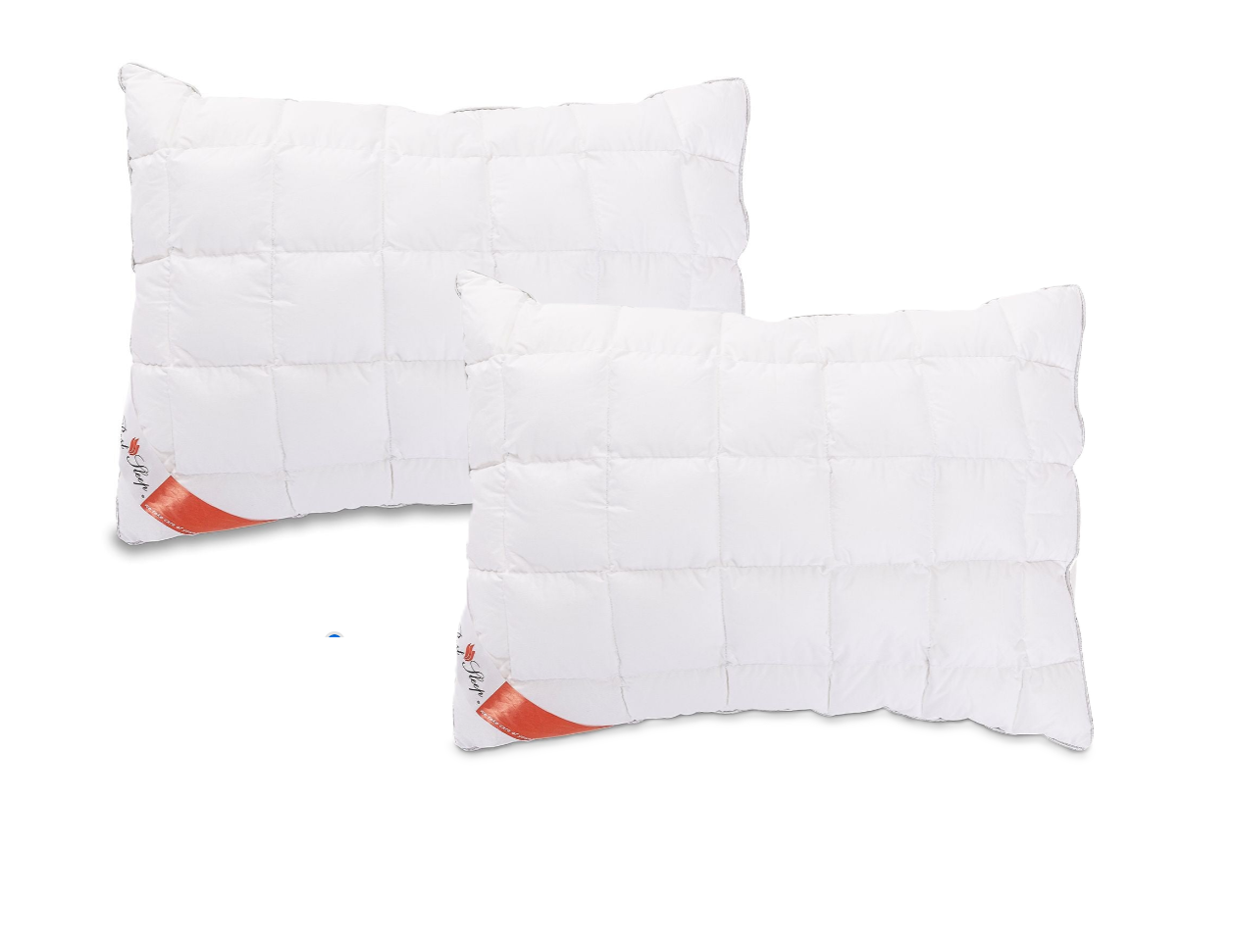 Set Saltea ortopedica Best Sleep Karma + 2 Perne Best Sleep Silver