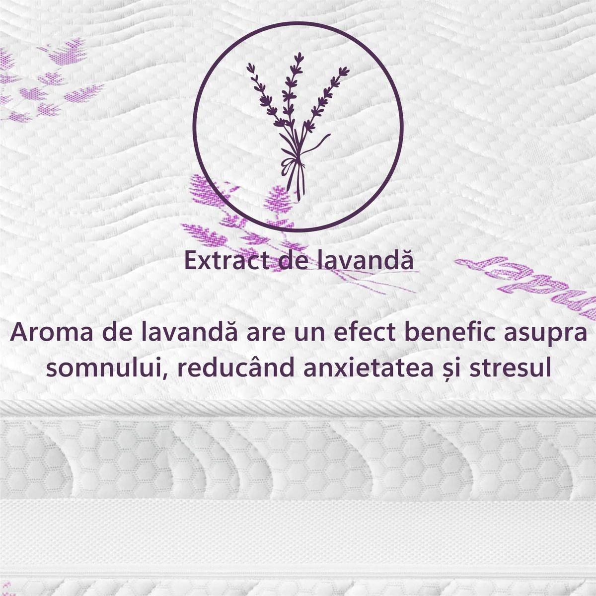 Saltea Baby Lavanda 14cm