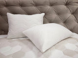 Set 2 Perne  Star Moon Tencel, 50x70, hipoalergenica,lavabile la 40°C