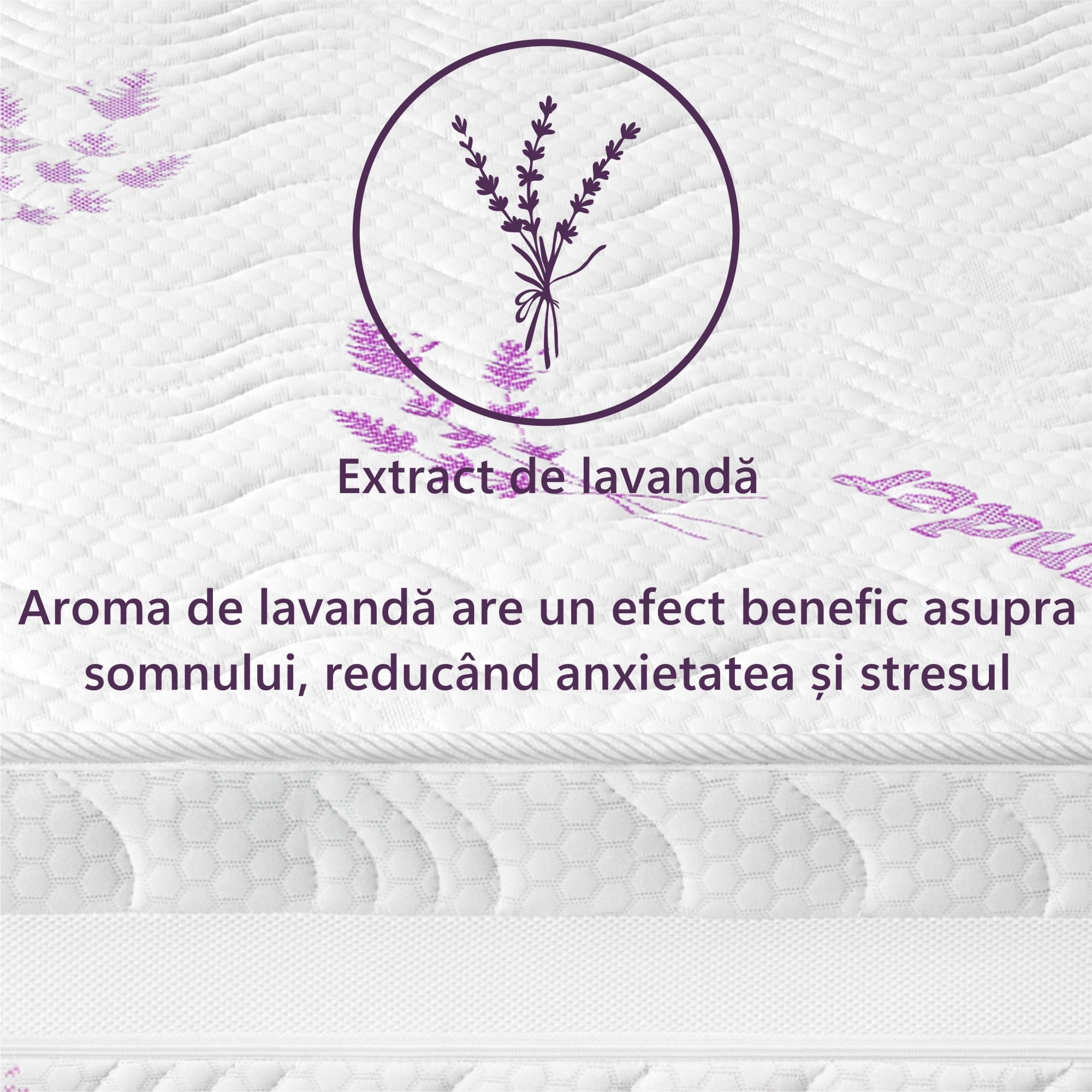 Saltea Ortopedica Sleep Evolution First Memory Lavanda 19+5+1, 25cm, spuma poliuretanica cu memorie, husa detasabila tratata cu lavanda, fermitate medie