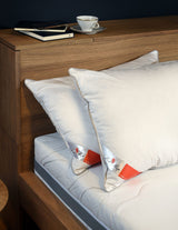 Perna Pana si Puf Gasca copii