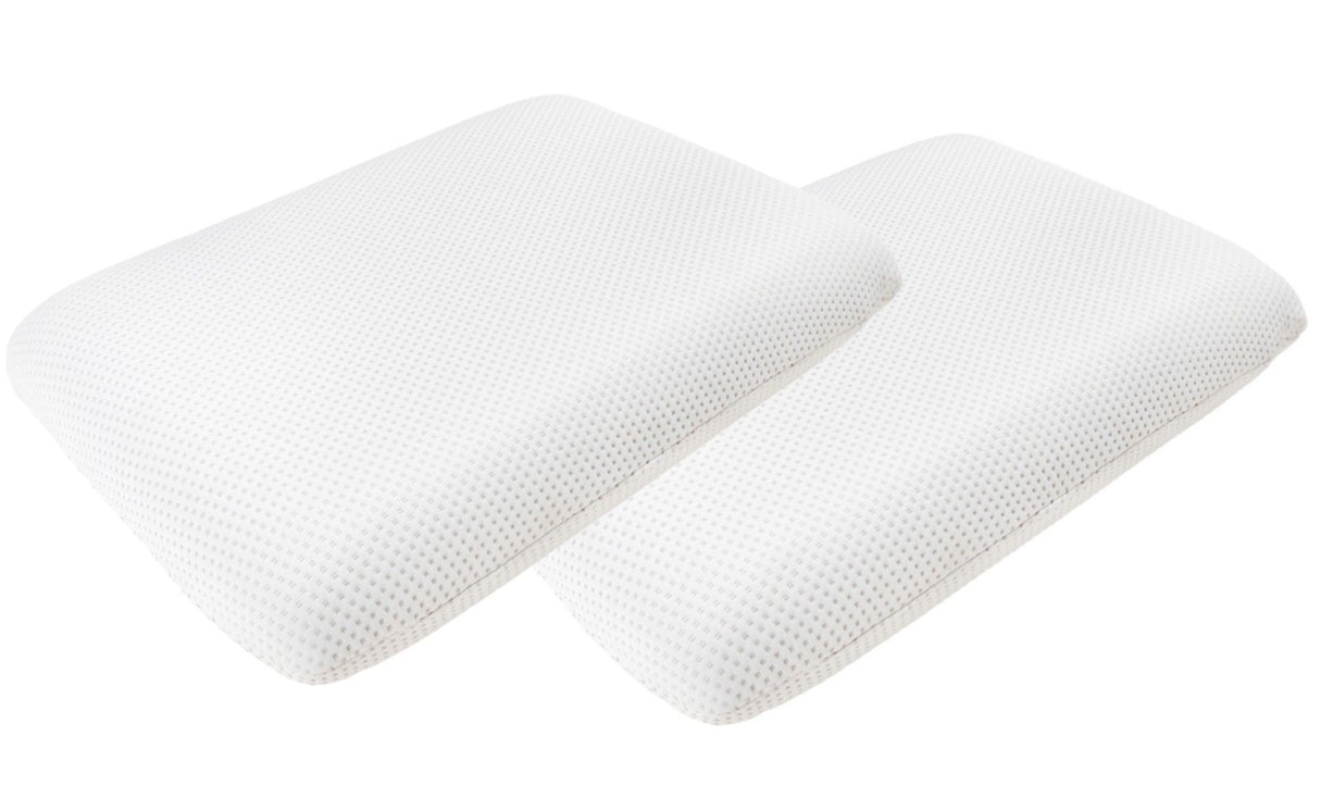 Set of 2 Memory Mini Pillows